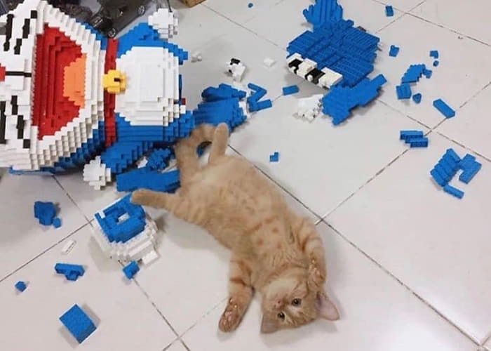 집사가 일주일 동안 힘겹게 만든 '   zoom-number=0   ><br /></p>

							
													</div>
					</div>

					<div class=