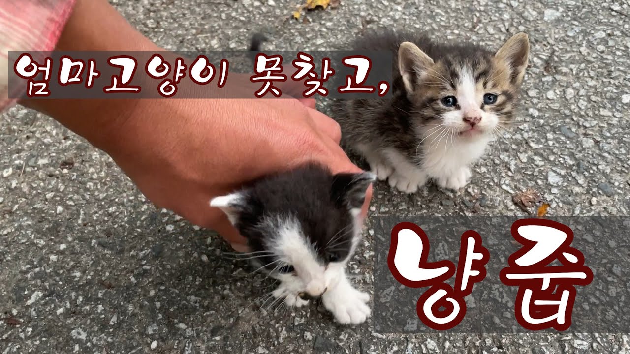 a14835ac3c13b3748aed98a518d6040312363f5ab4bc77dc3073e9