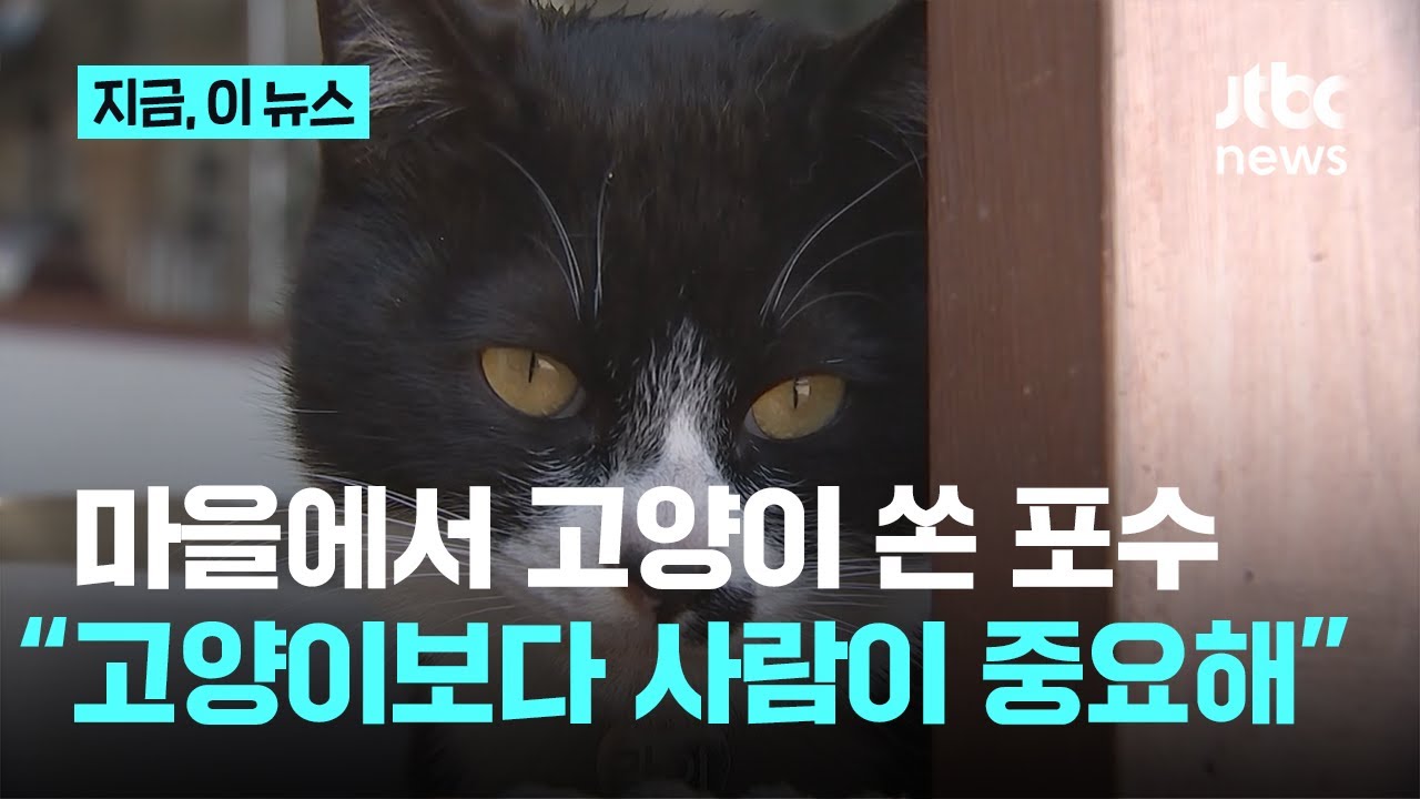 7cea8271b6826be864afd19528d52703a6baec5a1ace