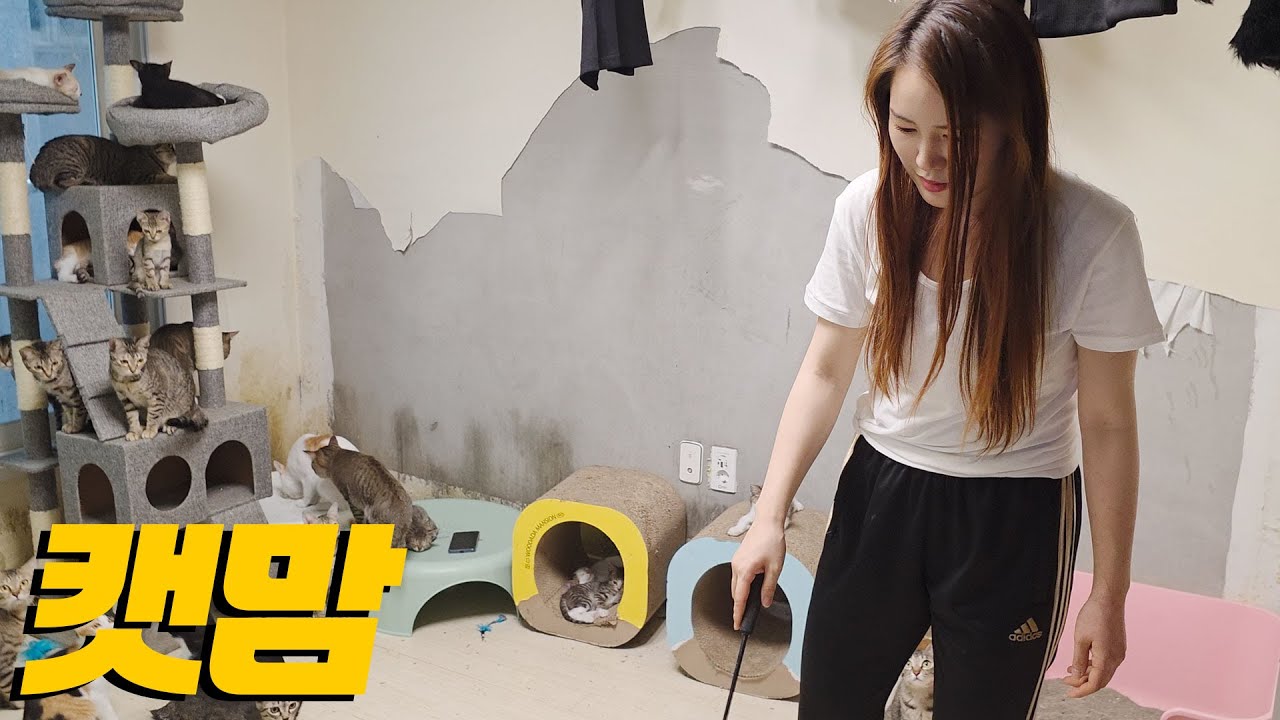 0490f719b4846ef420b5c6b011f11a39e6d72c6243130306b2