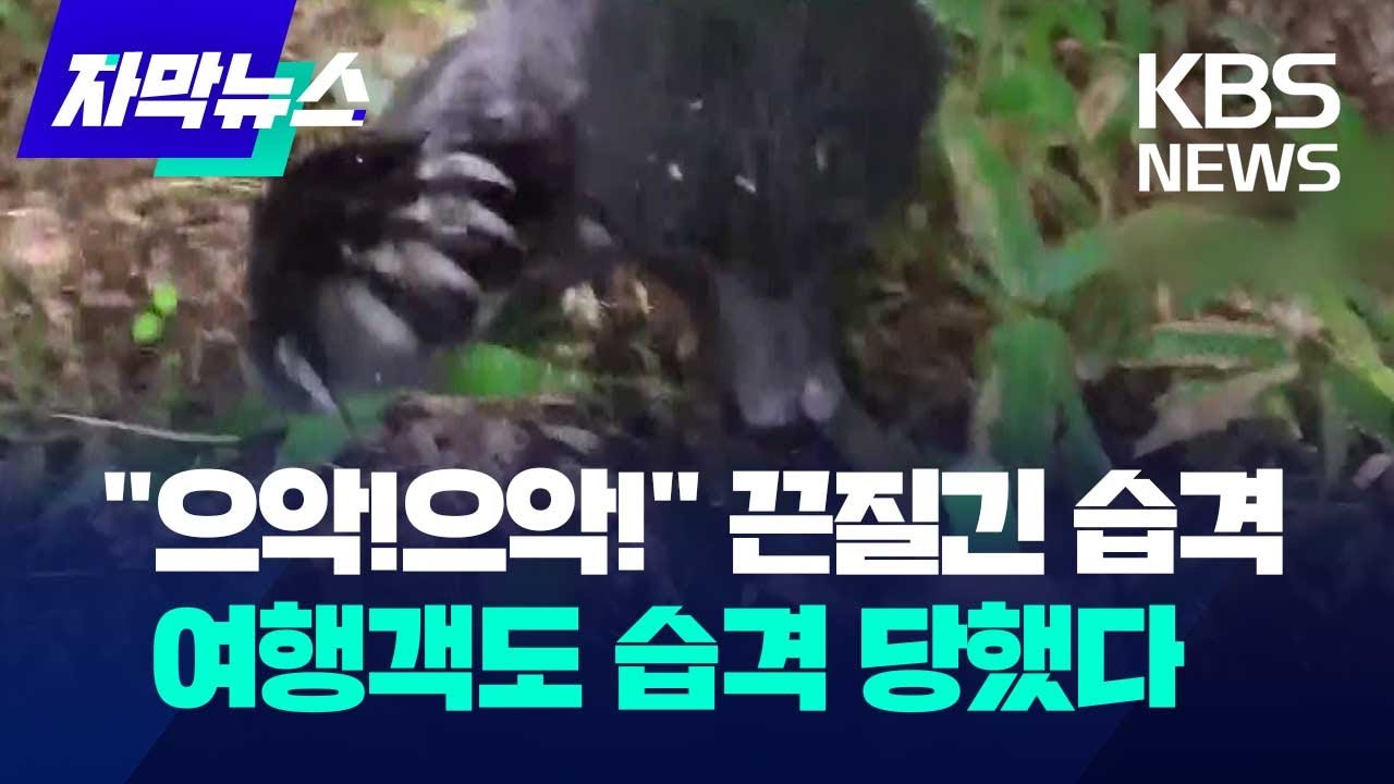 a17d2cad2f1b782a99595a48fadb2e37bd75218805e142a89d1fc073791af2edfff519b4