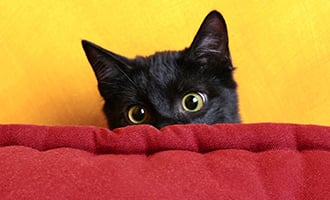 7ae58100c68119f723ebf3ec309c70193a27dec02c3d76d281a7c2c5ee60f9d3bbd2d191ee29700a07243d3ebd5c95b9392845d5