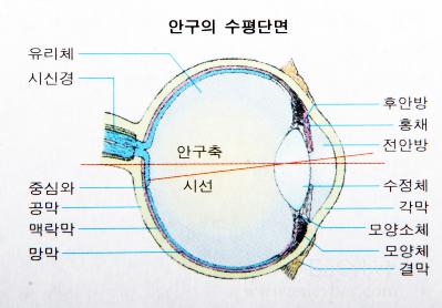 a65123ac3d3269e87eb1d19528d52703afd7788c90