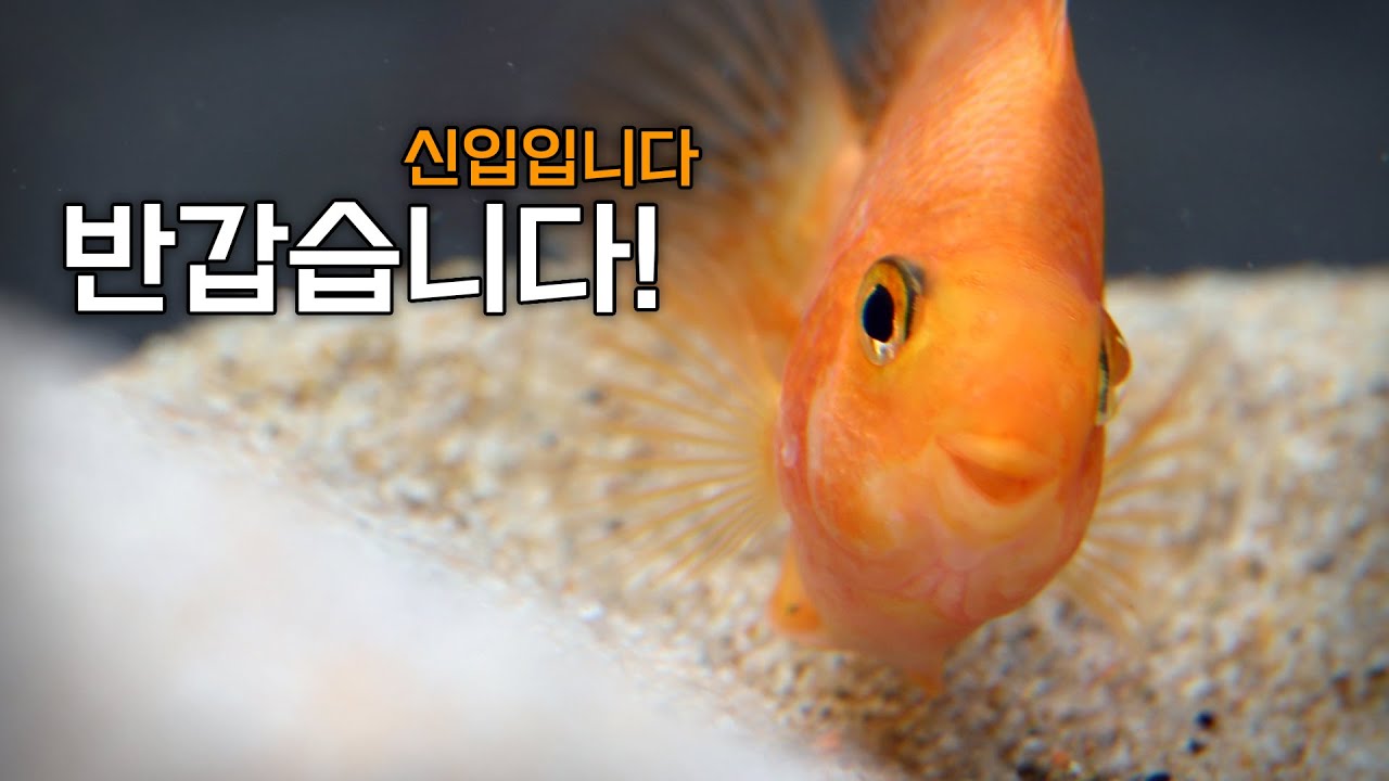 7cedf202b5811df723e786e2459c706cf959325ef5c8c8773aa65dac8854af7433ec51a8a008776182c731200ebe48220acfdeb2be