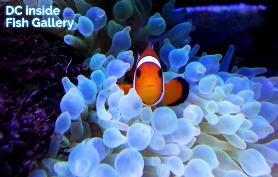 a6720cad290eb553ba323a599d17e87dbcafad79d4e674ed921ff3e86418a4aa1093291548ce