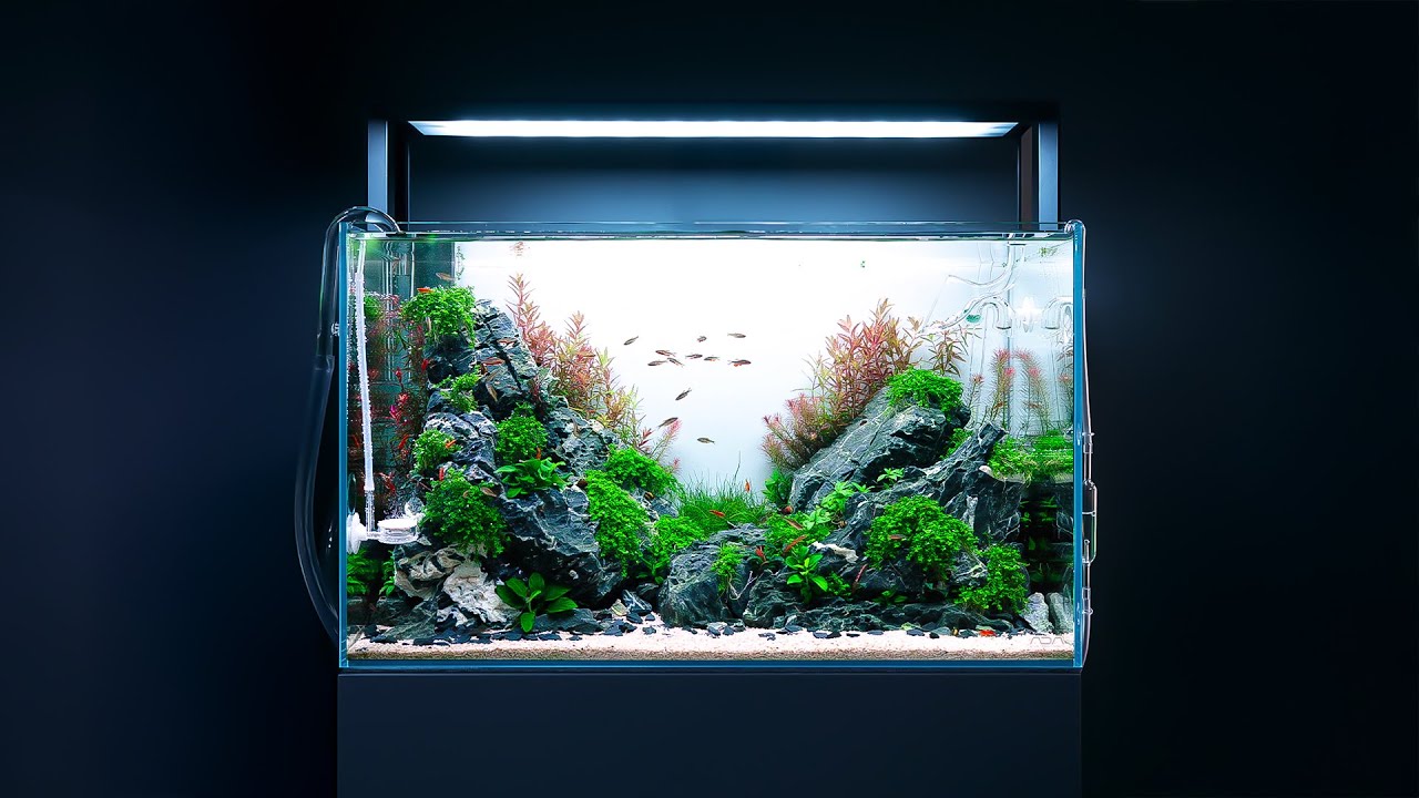 0aafd523eb9219b77bbe969407c4252ed1297aa0fd0f2469aecfa123bcd7c625e1a68848aa60ab85afa47343738834bfbab448de39b9faf9795957908ce2991b41b29a1b599898a3d9637f7f32fc834ec181c0d337bffde0ab54e68de66c824cdf275d28ecdfc4