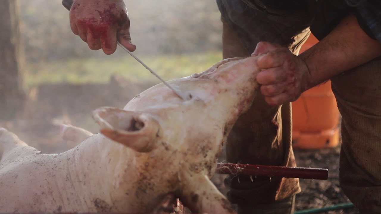 24b0d121e09c28a8699fe8b115ef046ec24bccf322