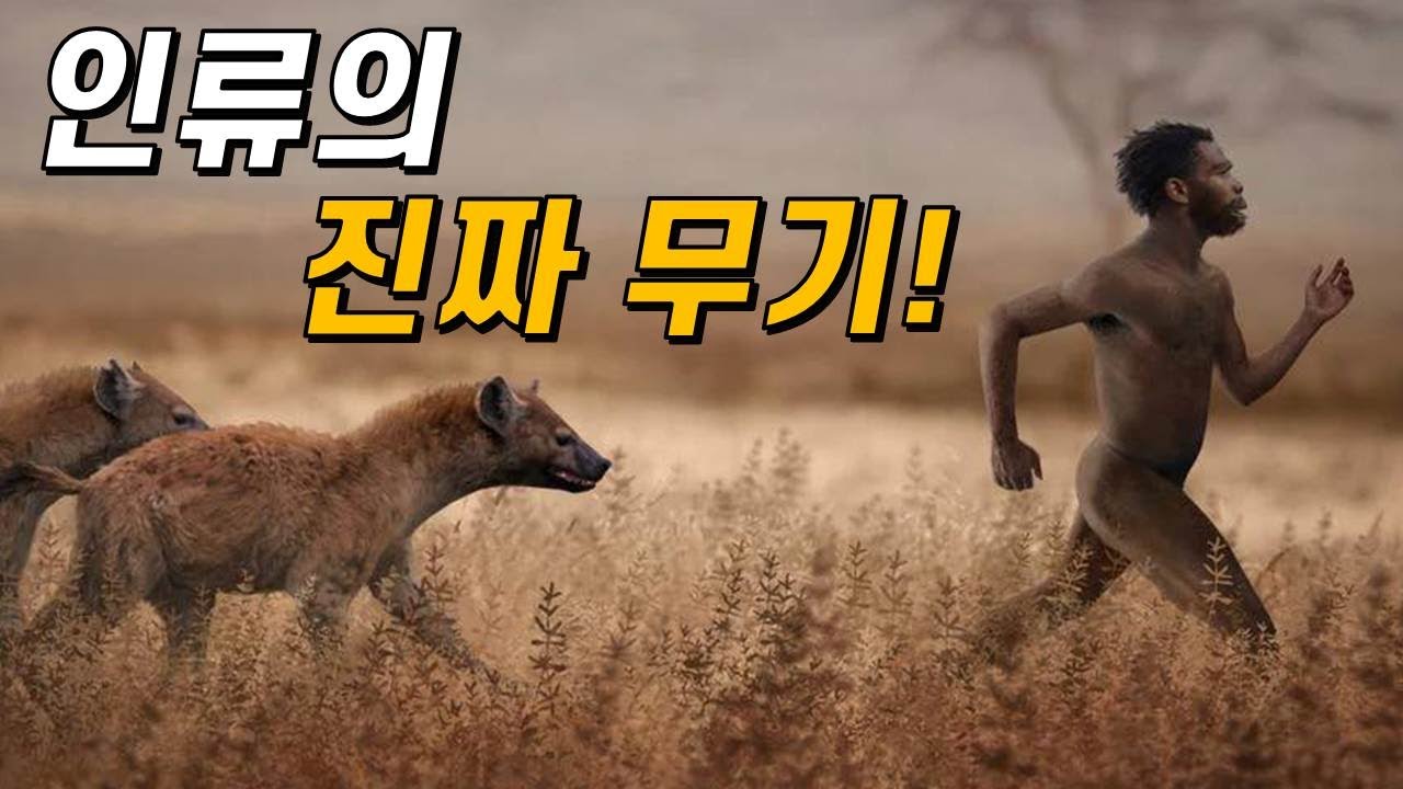 a16f2cac340ab45b82808e39c405a8fa714698e1cb59b986e860d730ab3a3b7dfd712c658e8f72004454927f