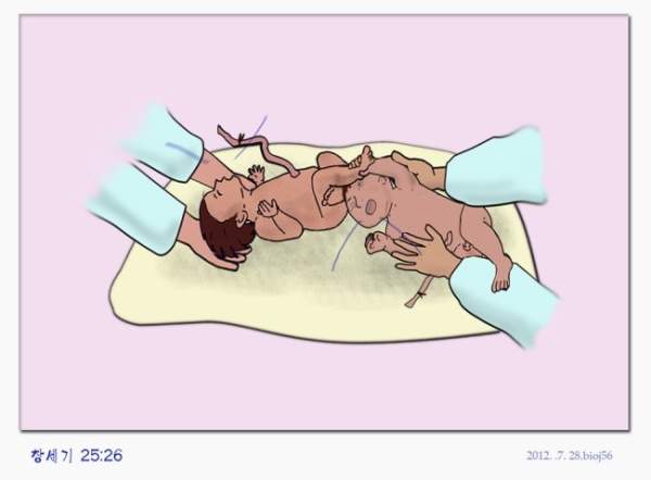 쌍둥이 탄생- 야곱과 에서