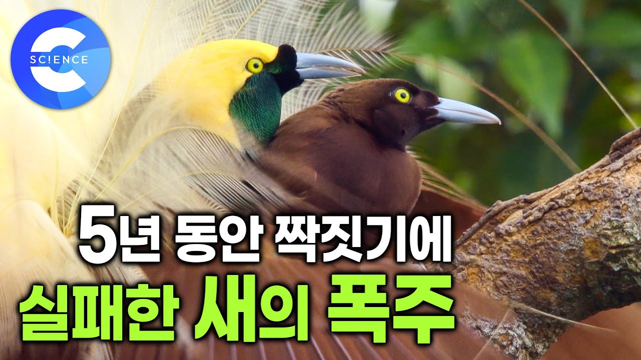 viewimage.php?id=23b8df35f1dd3bad&no=24b0d769e1d32ca73de885fa11d02831640a502277a2524bd91d28be7a14082d45b0a2d5224147c1056471c8ccaa8c508183d69a9ee829e6c67cb5a10d78f282ed4e9587bdec97348353