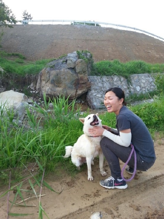 내일 (5월 31일) 안락사 예정 대형견들 (입양자를 찾습니다) | 인스티즈