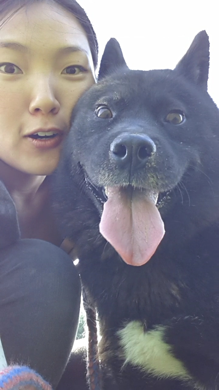 내일 (5월 31일) 안락사 예정 대형견들 (입양자를 찾습니다) | 인스티즈