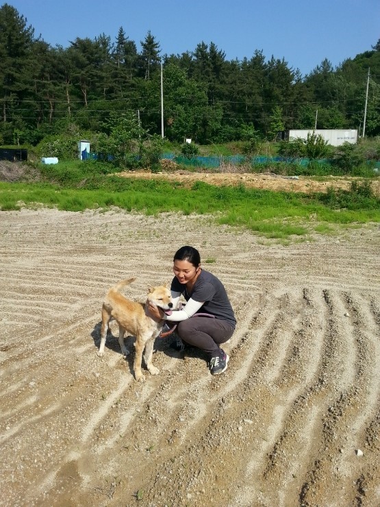 내일 (5월 31일) 안락사 예정 대형견들 (입양자를 찾습니다) | 인스티즈