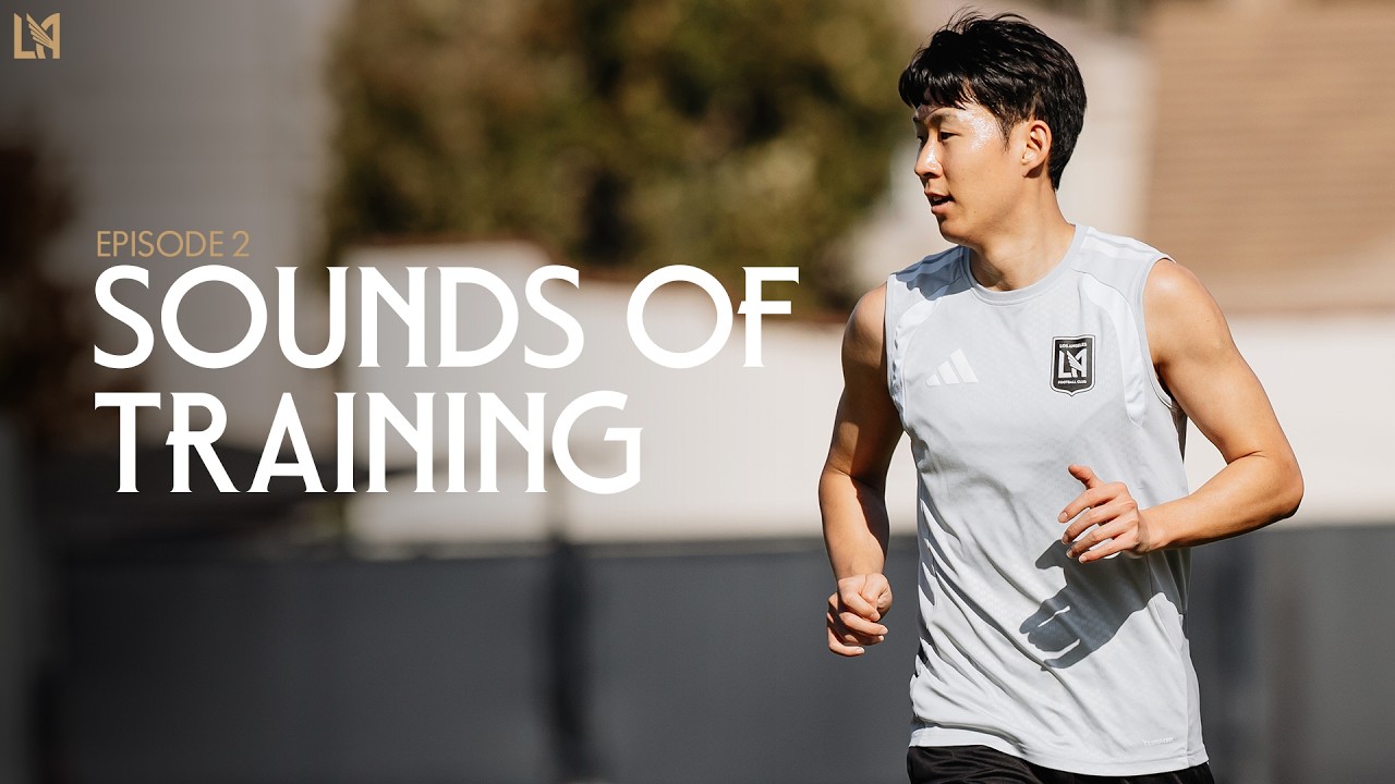 7ced8076b48561fe3fe798bf06d604031bfc91db30e9479fcb65