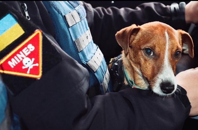 06f0807eb59c28a8699fe8b115ef04680b0b2ae3