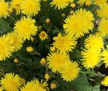 Life'  data-nummark=