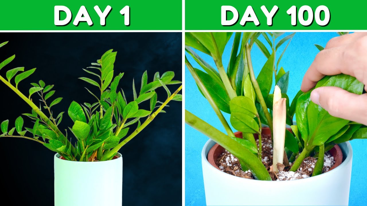 24b0d121e09c28a8699fe8b115ef046c65f72d479c