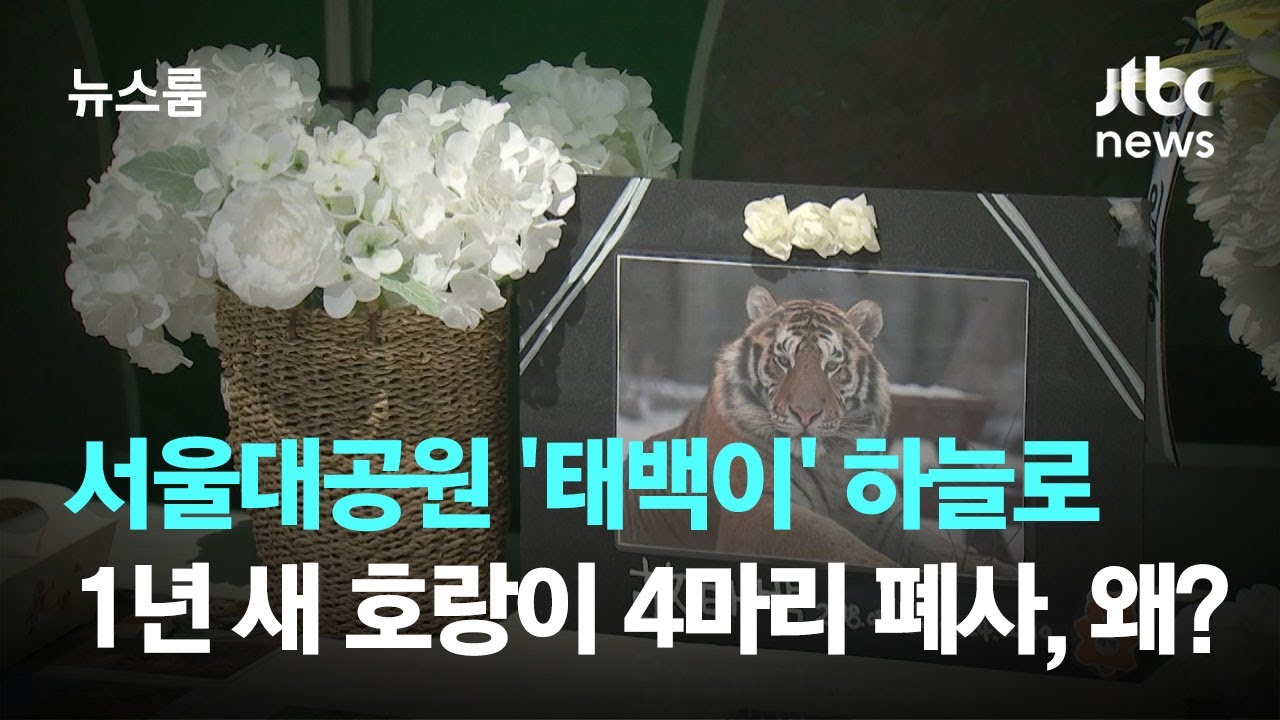 0490f719b7876ff620b5c6b011f11a392f82c90fa9a6d870