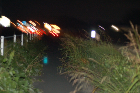DSC_0708.JPG
