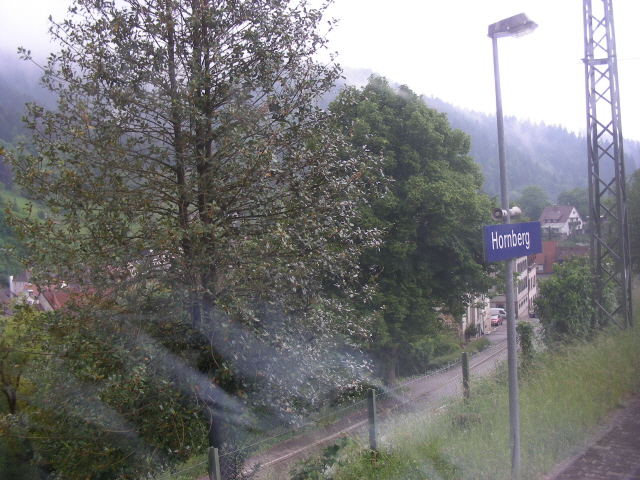 DSCN1429.jpg