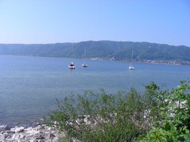 DSCN1471.jpg