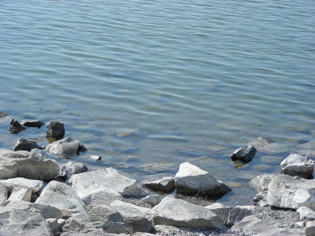 DSCN1472.jpg