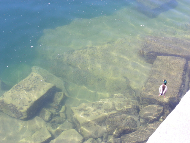 DSCN1489.jpg