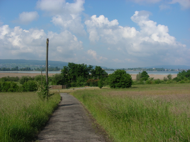 DSCN1553.jpg