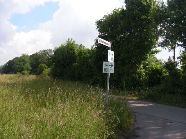 DSCN1555.jpg