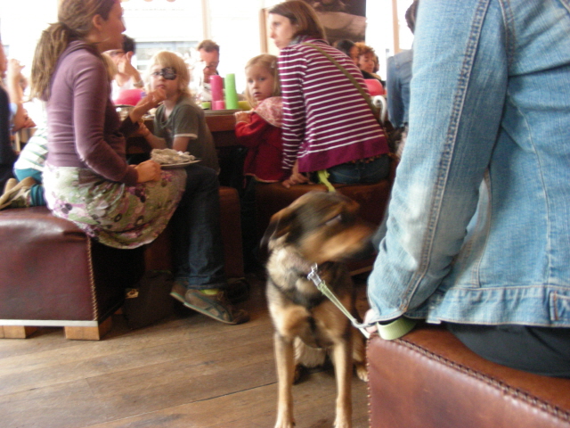 DSCN1567.jpg