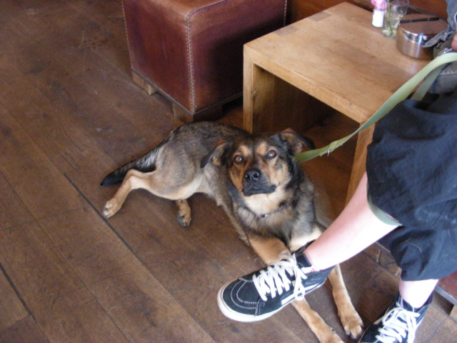 DSCN1569.jpg