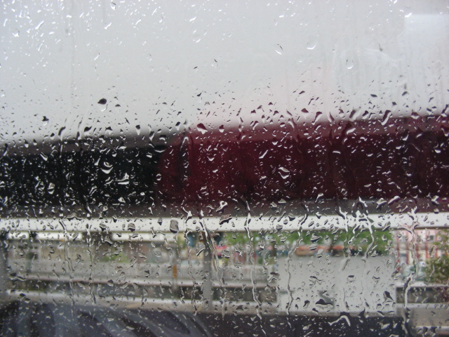 DSCN1574.jpg