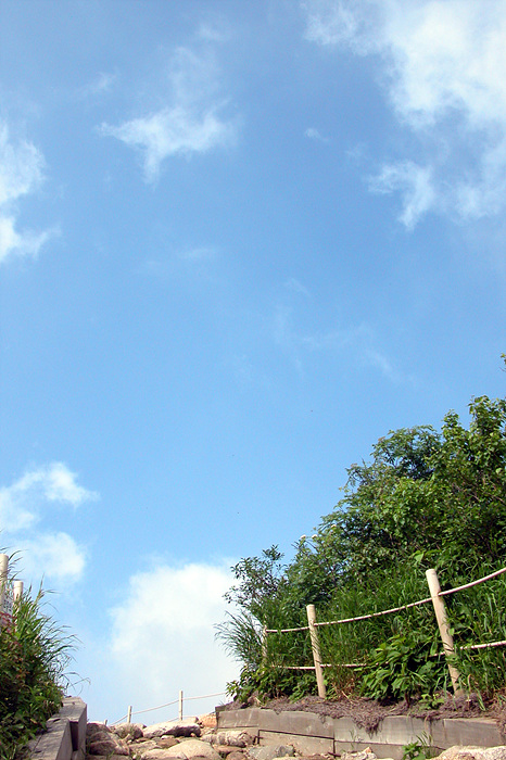 img_11_3830_6.jpg