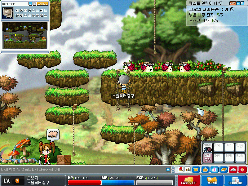 Maplestory+2017-01-02+14-05-38-137.jpg