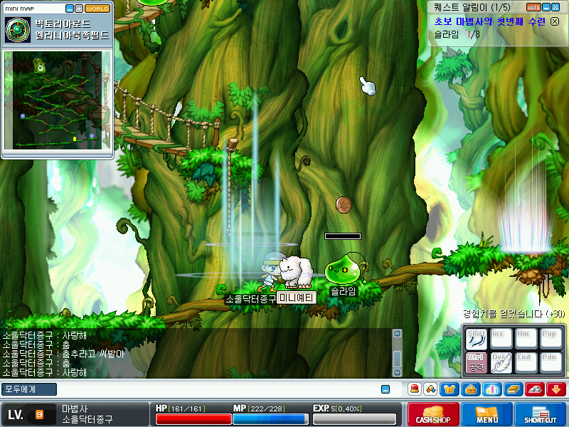 Maplestory+2017-01-02+14-26-14-962.jpg