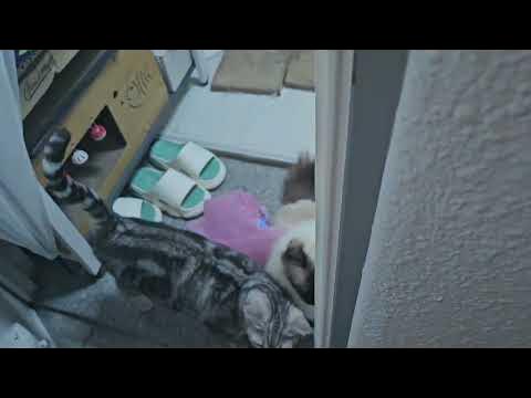 7fed8272b58a6af151ee8ee04f827d7326d24eed34bc6e62f802ef2ef4de05c4