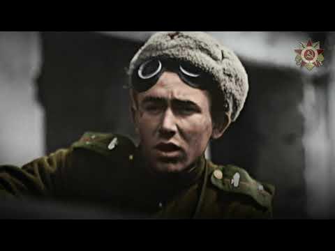 0490f719b58b6df220a8d3b706f11a397b571cd7e44b255a3b