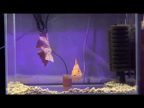 7999f303b58469f123e6f2ec429c701f5e1b747b9601dc0a8d9a816dd623da91c6f9d61f4ba2ba6b8c2b706872bdd74dd163dd996c