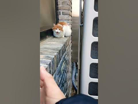 28b9d932da836ff63aef8fe54689726bd896adc1d4a768a4f65eb9a4aaad1f66a7f6