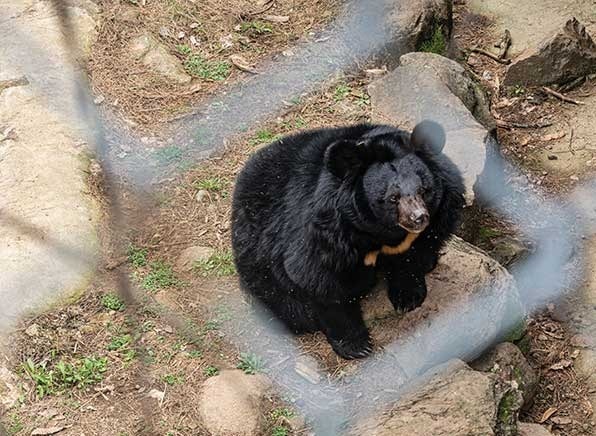 7fe48168efc23f8650bbd58b3680706cae394c