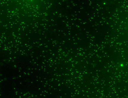 a14b04ab101fb442b63501759a39dc6c9bc16e0a318f600755fb1034012994c0